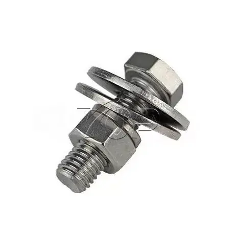 Hex Boltxoak eta Intxaurrak
